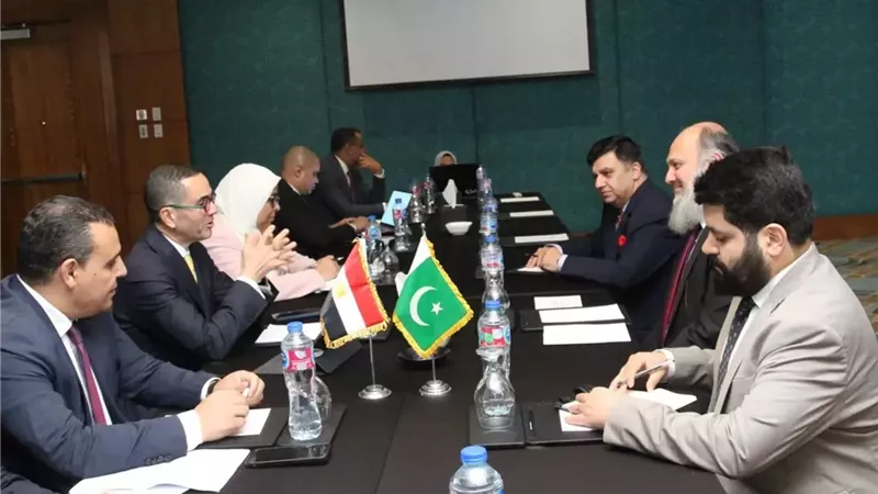 وزير الاستثمار يلتقي وزير تجارة باكستان لبحث سبل تعزيز العلاقات بين البلدين