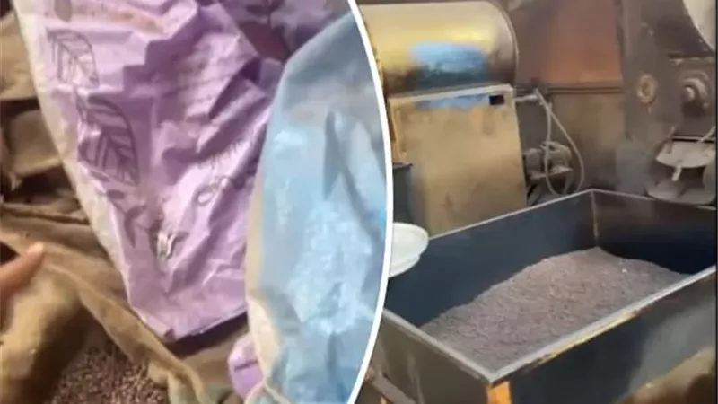 صحة القليوبية تضبط 5 أطنان بن مغشوش في مطحن غير مرخص بالخانكة