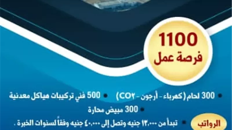 العمل تعلن عن وظائف جديدة بمشروع الضبعة النووي براتب يصل 40 ألف جنيه