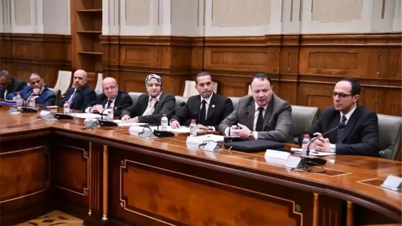 مجلس الشيوخ تقر تعديل المادة 70 لمكافحة التلاعب بالكهرباء