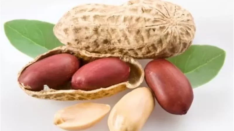 فوائد غير متوقعة للفول السوداني لكبار السن