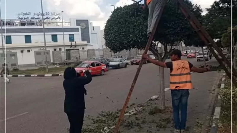 تطوير المسطحات والميادين الرئيسية بالإسماعيلية