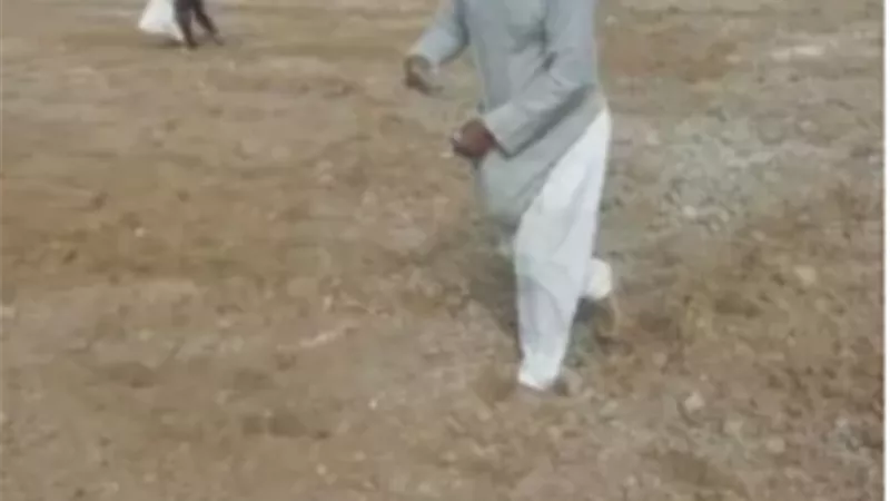 60 حقل ارشادى لزراعة القمح بالاسكندرية