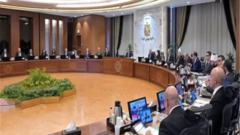 مجلس الوزراء يعتمد إنشاء كلية الهندسة بجامعة مدينة السادات