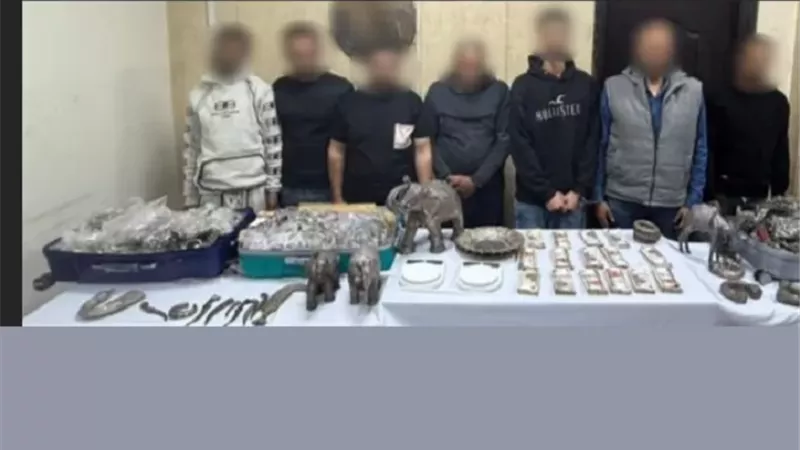 الداخلية تكشف التفاصيل الكاملة لسرقة 125 كيلو جرام من محل بالقاهر