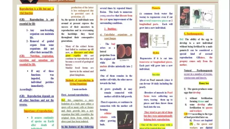 روشتة التفوق في الأحياء لغات للثانوية العامة 2026