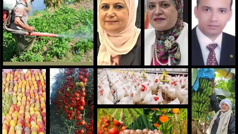 خبراء وأساتذة الزراعة لـ 