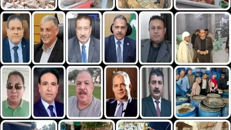 غذاء آمن لكل المصريين
