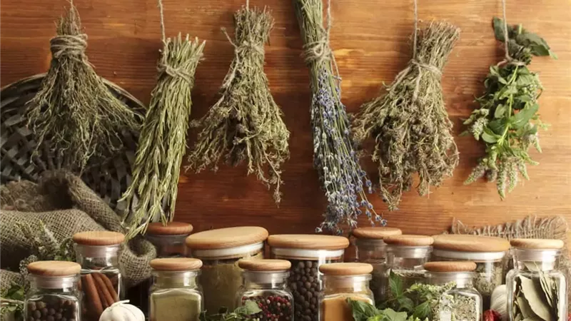 أشهر مدرات البول الطبيعية المنزلية
