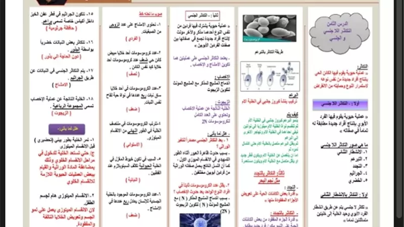 مراجعة لأهم دروس العلوم لطلاب الشهادة الإعدادية