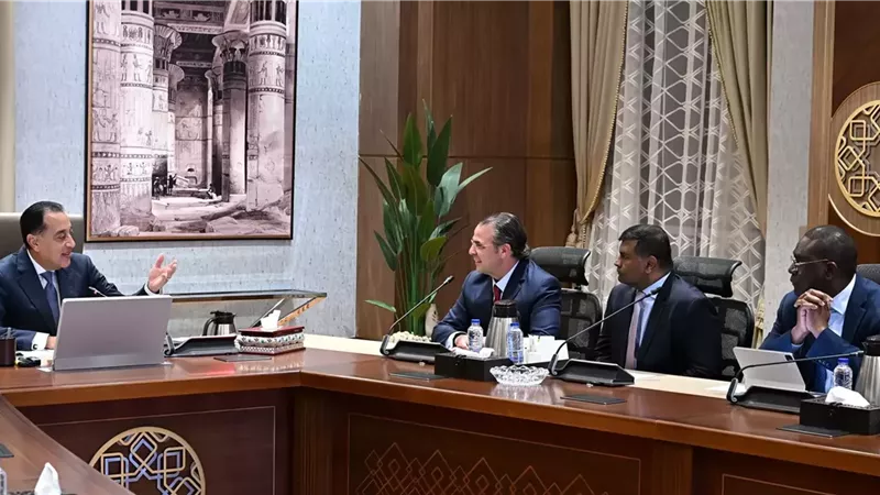 مدبولي يلتقي رئيس قسم الأصول الأساسية والبلدان الناشئة في