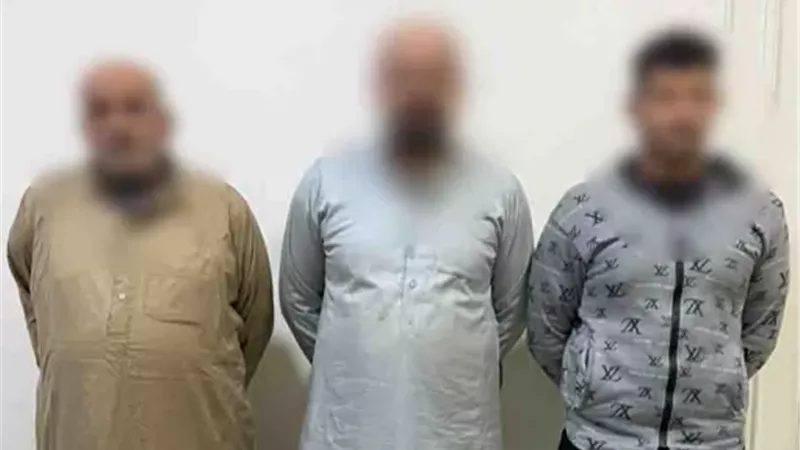ضبط شخصين تعديا على شقيقهما بالضرب لخلافات الميراث بكفر الشيخ