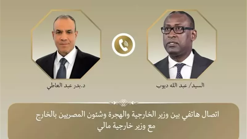 وزير الخارجية يشدد على دعم مصر لجهود مالي في مكافحة الإرهاب