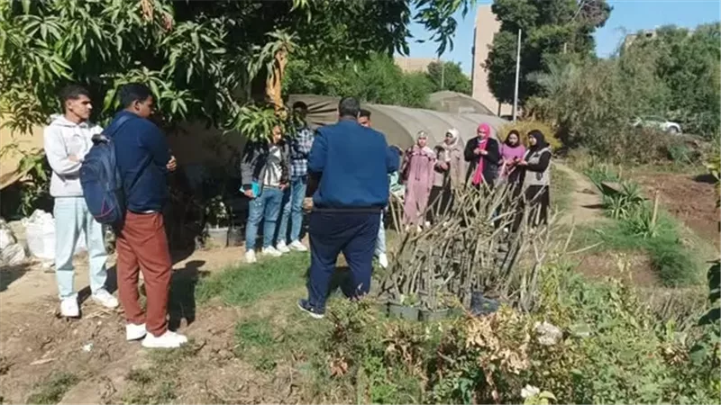 الزراعة تؤهل 345 متدرباً في مكافحة الآفات والمبيدات بـ 9 محافظات