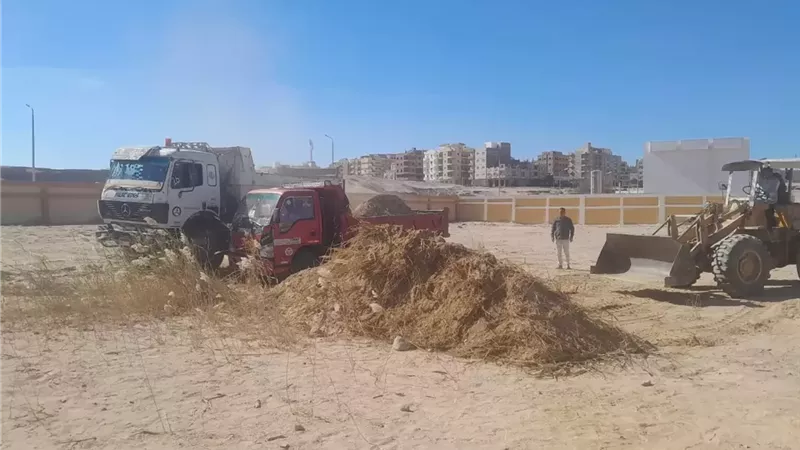 استمرار تنفيذ الخطة البيئية لرفع كفاءة المدارس بمدينة سفاجا