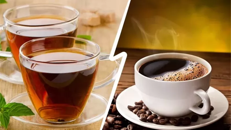 منها الشاي والقهوة.. دراسة تكشف عن أطعمة ومشروبات تحمي القلب مع التقدم في العمر