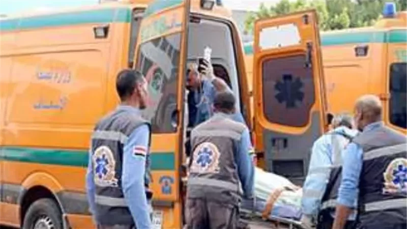 إصابة شخصين بطلقات نارية في قرية النقرة بأسوان