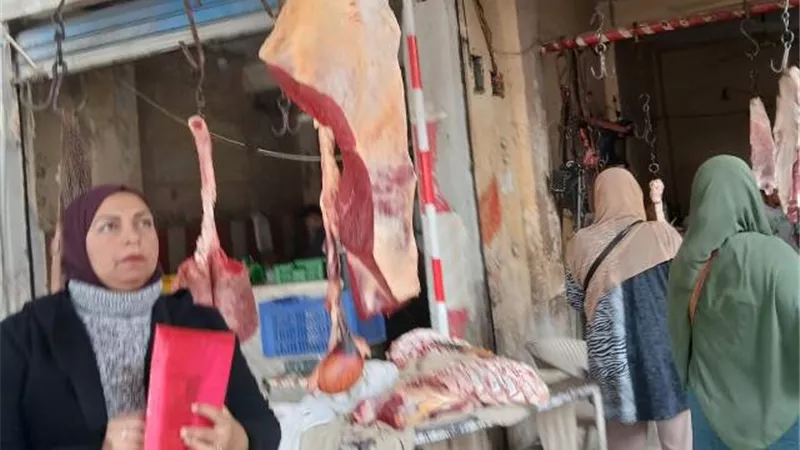 جهاز بدر والصحة يضبطان 2 طن و230 كيلو لحوم ودواجن وأغذية.. بالصور