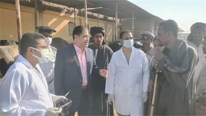 تحصين 775 ألف رأس مواشى وطيور بالأقصر خلال 2025
