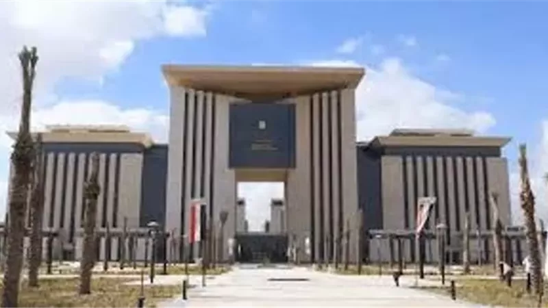 انجازات تاريخية في عام استثنائي للدبلوماسية المصرية