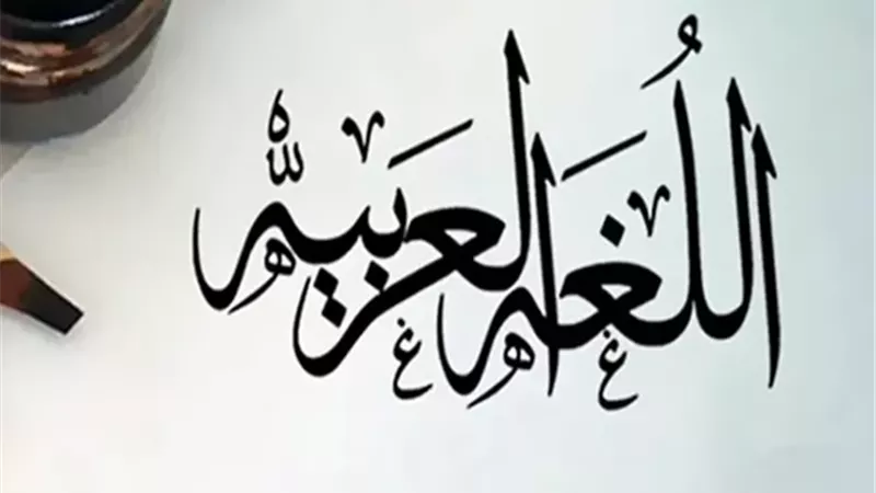 سيوة تحتفل باليوم العالمي للغة العربية