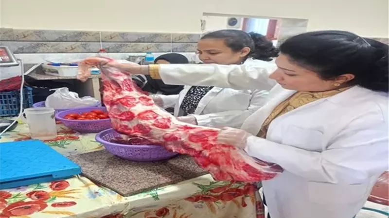 سوهاج تكثف الرقابة على الوجبات المدرسية