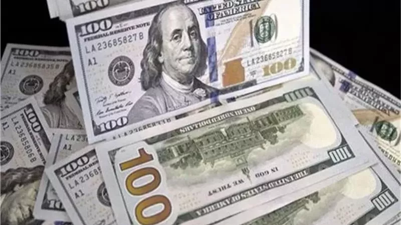 سعر الدولار الآن في مصر.. استقرار العملة الأمريكية بالبنك الأهلي