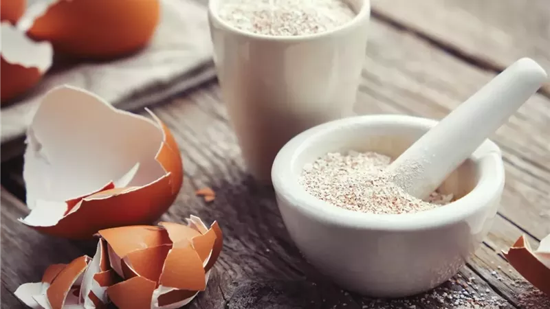 فوائد غشاء قشر البيض