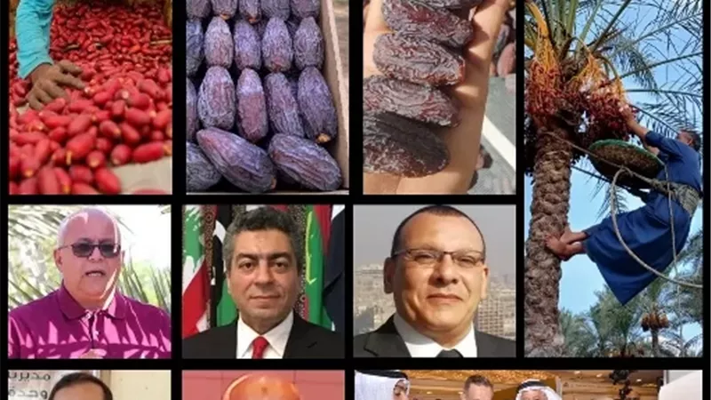 التمور.. صناعة واعدة تفتح أسواقاً جديدة أمام صادراتنا
