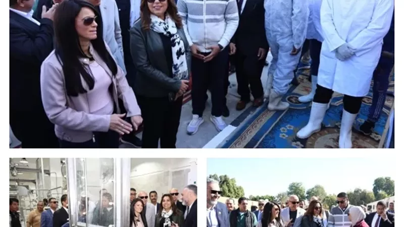 افتتاح مجزر الحبيل الآلي ووضع حجر أساس السوق الحضاري بالأقصر