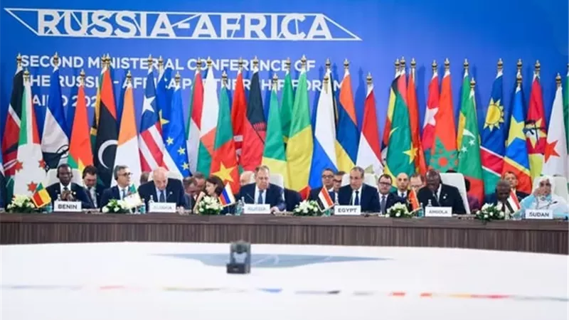 وزير الخارجية يستعرض رؤية مصر للأمن والتنمية في أفريقيا