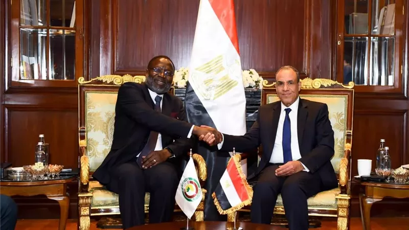 وزير الخارجية يلتقي رئيس مفوضية الإيكواس لبحث تعزيز التعاون المشترك