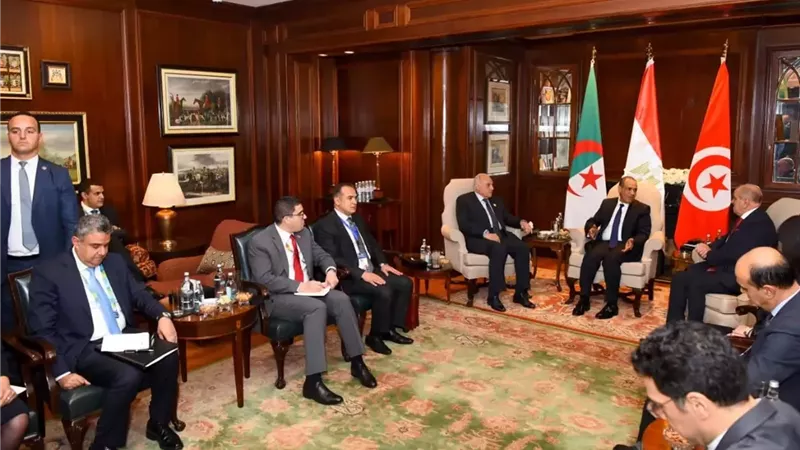 وزير الخارجية: تسوية الأزمة الليبية تأتى بالتوافق بين الأطراف دون تدخلات خارجية