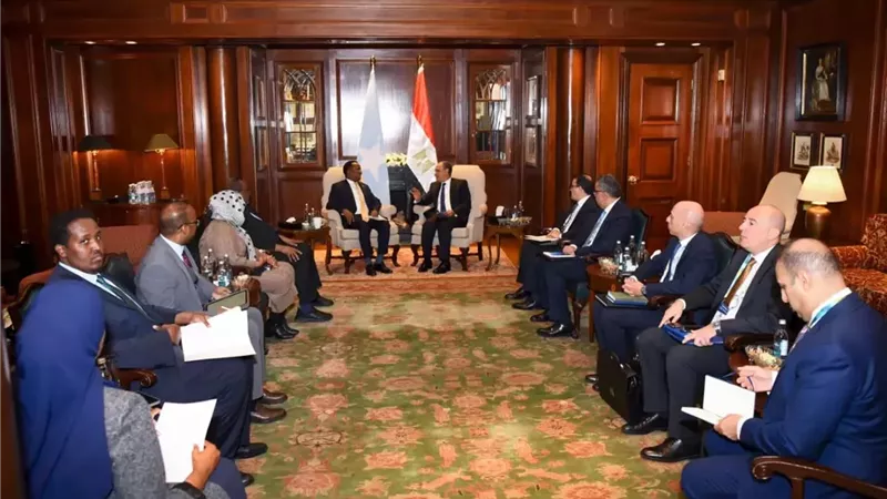 وزير الخارجية يؤكد التزام مصر بدعم جهود الأمن والاستقرار فى الصومال