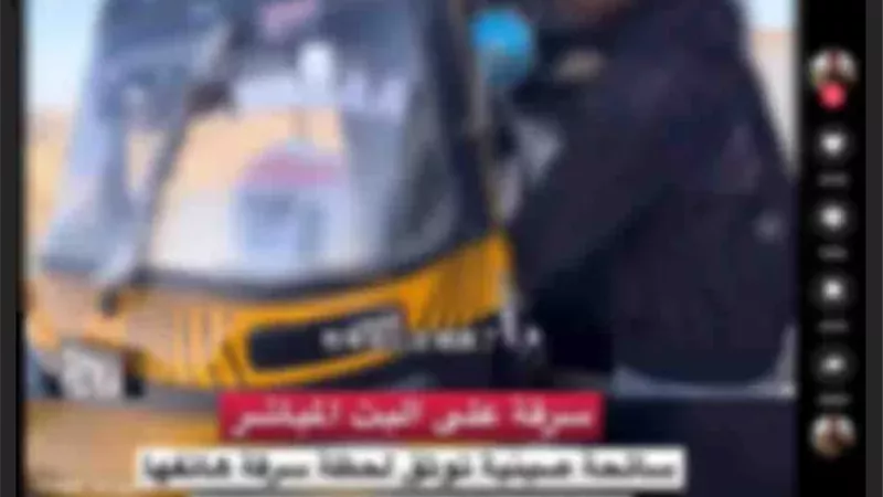 ضبط سائق توك توك سرق هاتف محمول من اجنبيه بأسوان