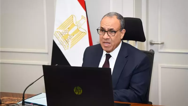 عبدالعاطي يحث أبناء الجاليات المصرية بالتمثيل المشرف للوطن في الخارج