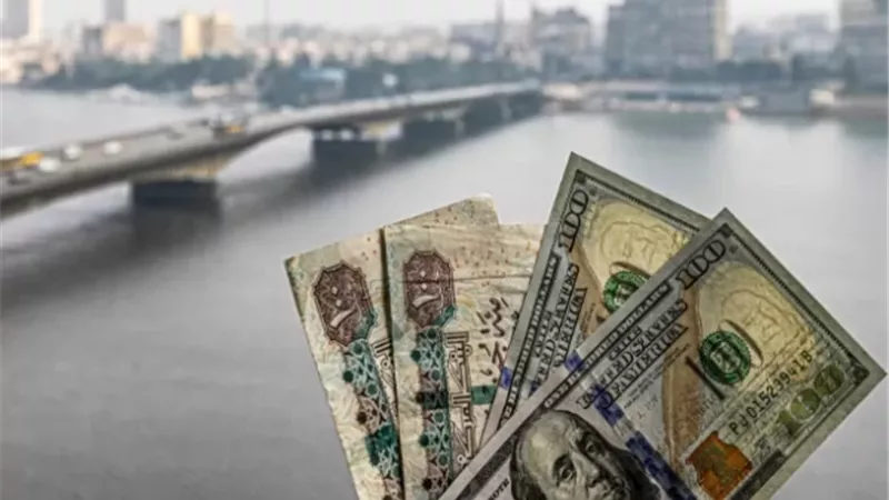 سعر الدولار اليوم في مصر.. الأخضر يحافظ على استقراره أمام الجنيه