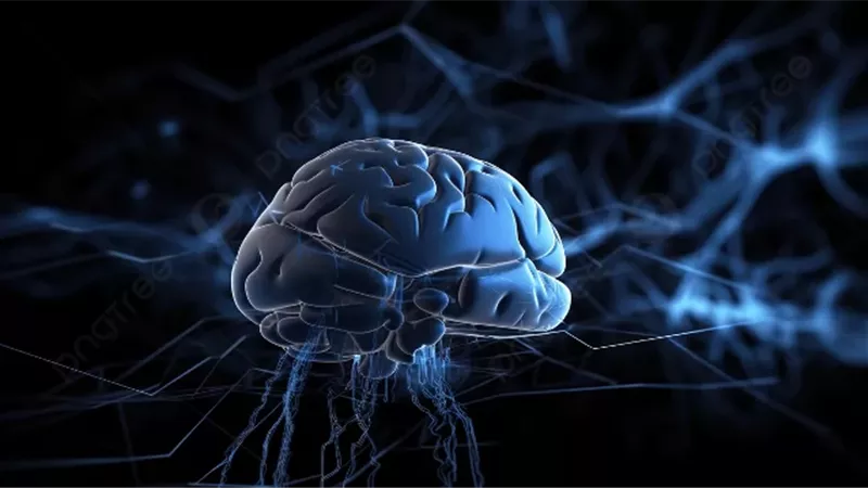 الدماغ الأزرق يقترب من الواقع