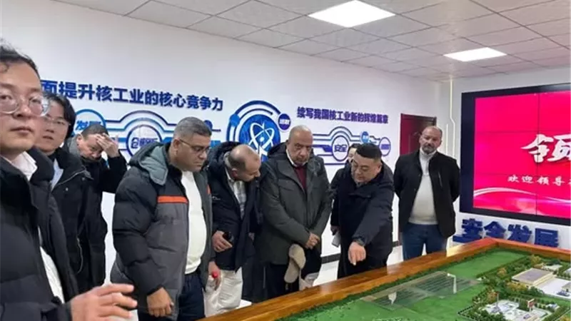 وزير الكهرباء: التعاون مع الصين في استكشاف وتعدين العناصر الأرضية