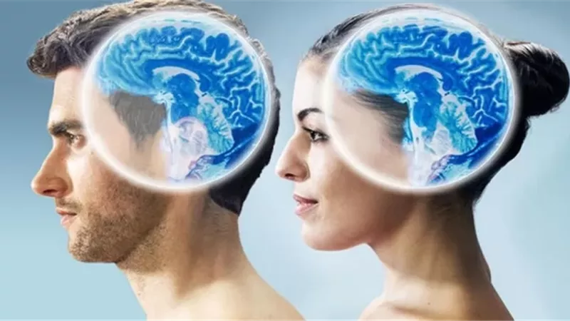 لماذا تكشف النساء المرض أسرع من الرجال؟ دراسة جديدة توضح السبب