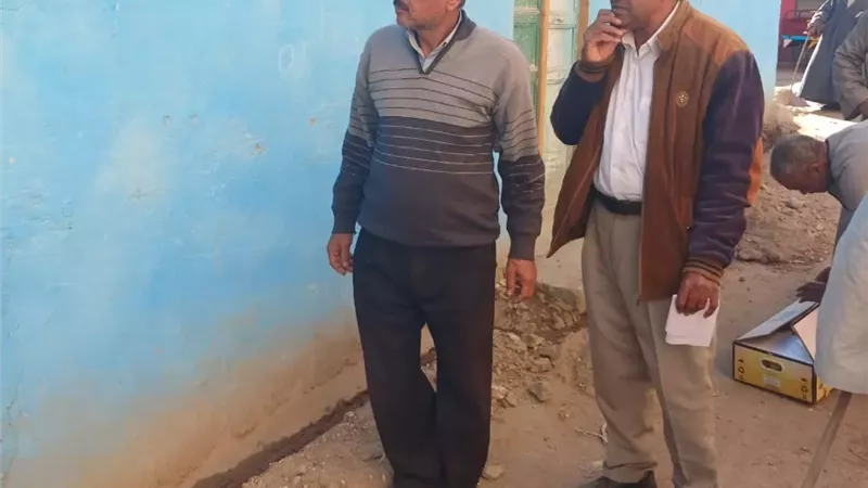 زراعة الأقصر تبدأ مواجهة النمل الأبيض بقرية الدير