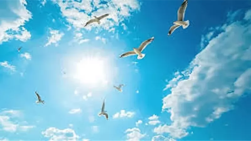 الدعاء بـ