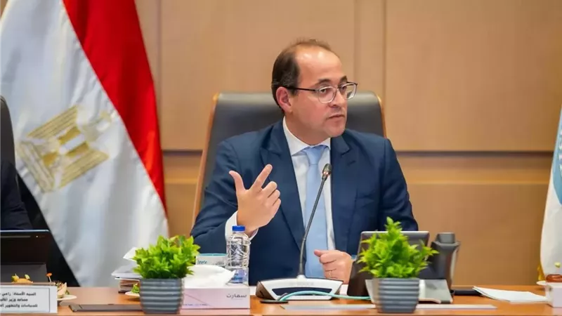 وزير المالية: منظومة 