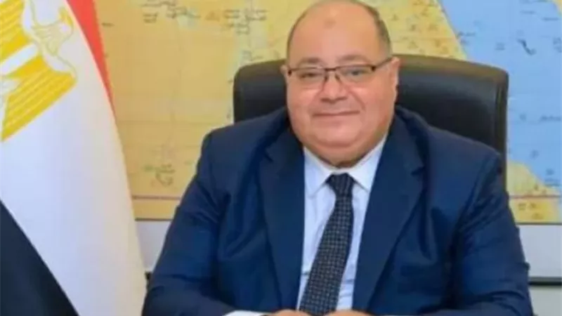 قنصل مصر بالرياض: انتخابات 