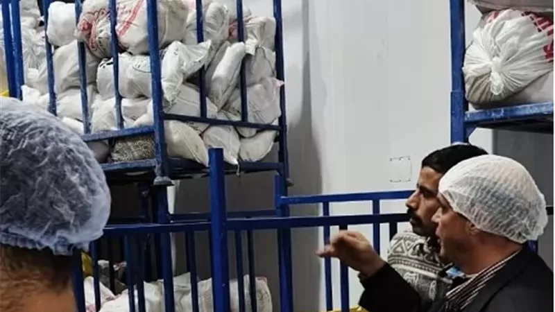 ضبط 14 طن و 380 كيلو لحوم ودواجن منتهية الصلاحية بالشرقية