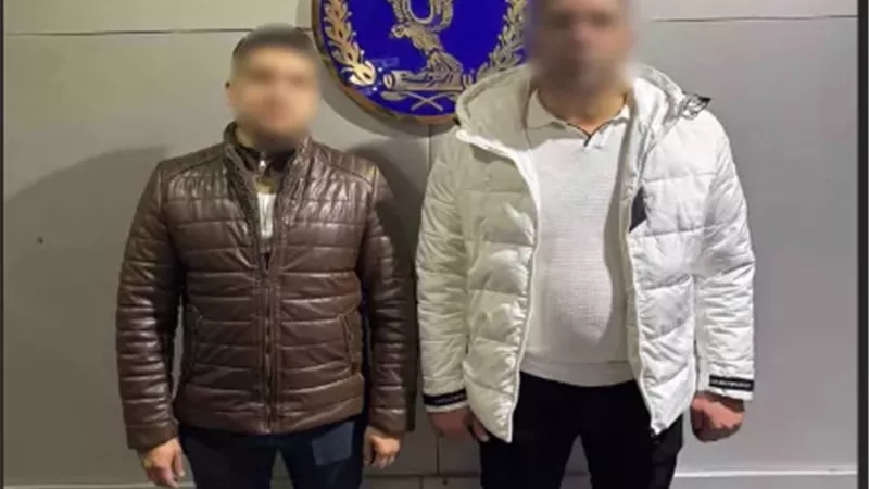 ضبط أجنبيين تعديا على شخص لإطعامه الكلاب الضالة بالإسكندرية