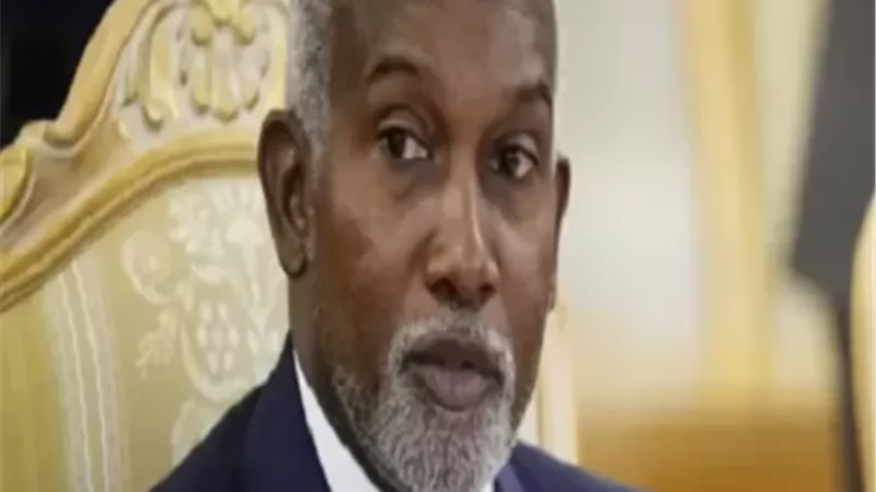 الخارجية النيجيرية تعلق على الضربة الأمريكية الدقيقة