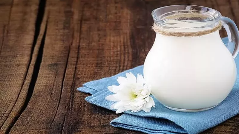 فوائد اللبن الرايب للهضم والمناعة