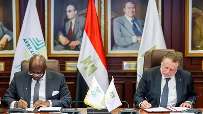 بنك للذهب في مصر قريبًا.. مذكرة تفاهم بين المركزي والبنك الإفريقي