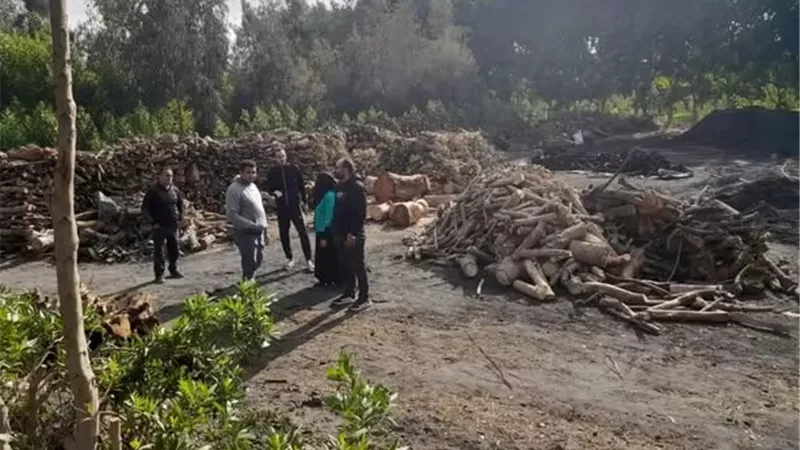 تحرير محاضر بيئية لمكامير الفحم المخالفة بالإسماعيلية..صور